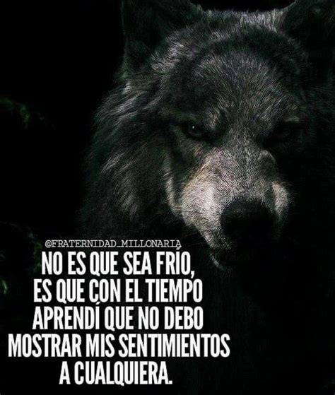 Não quero que tua risada ou teus passos hesitem. No es que sea frío... | Frases motivadoras, Frases de lobo ...