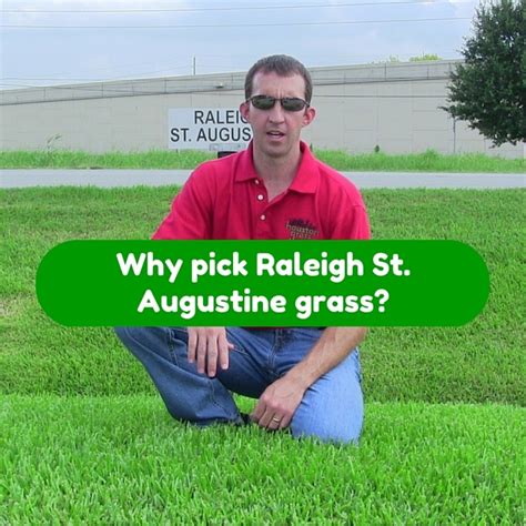 Maybe you would like to learn more about one of these? Why Pick Raleigh St. Augustine Sod - Houston Grass South