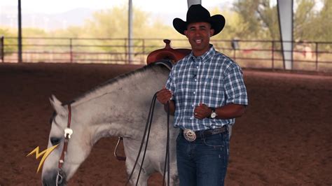 Fortunately, there are lots of techniques for how to teach a baby to stand up from the floor that can help your baby get there. Teach Your Horse to Stand Still - Matt MIlls