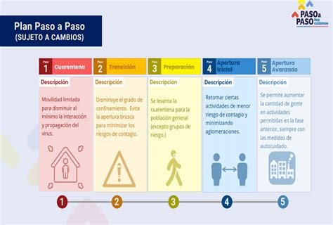 Tutorial dónde explicamos paso a paso cómo hacer unas zapatillas a ganchillo. "Paso a Paso": Presentan plan ante un eventual desconfinamiento - Machali Conectado