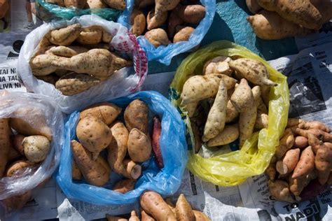 We are selling plates that consist of 3 pieces of chicken, mac/potato salad, rice and a drink for 10. Sweet potatoes at Municipal Market. #Fiji #FijiWedding ...