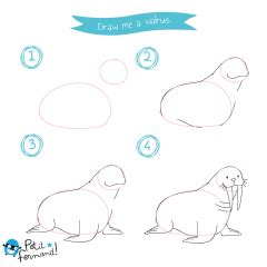 Keyboard shortcut guide for artists. Draw arctic animals | Drawing for beginners, Drawings, Drawing tutorial