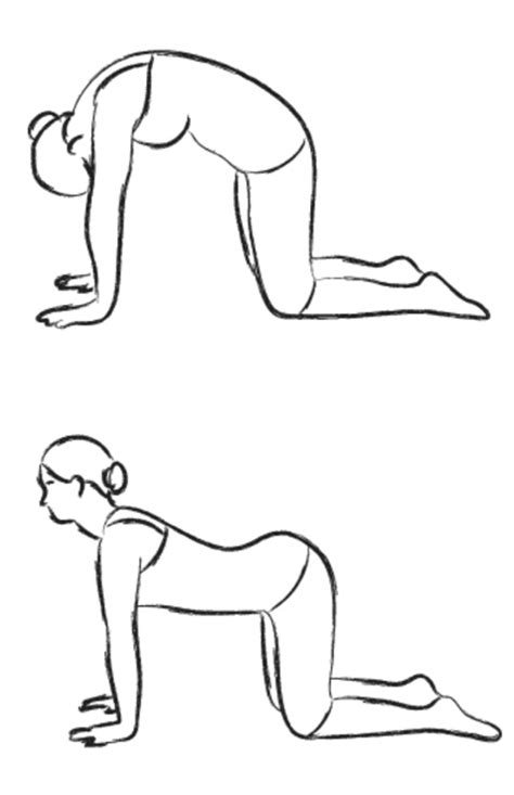 Certain yoga poses can not only help ease common pregnancy symptoms, but they can also help you recenter and release your mounting stress. Cat And Cow Pose Yoga Pregnancy / How to do Cat Cow Pose ...