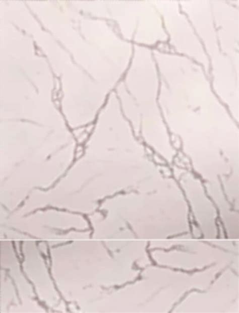 سيراميك أرضيات 218 40×40سم / سيراميكا كليوباترا - الرقيبة ...