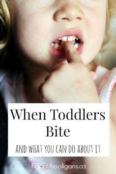 13 Best Biting images | Toddler behavior, Parenting ...
