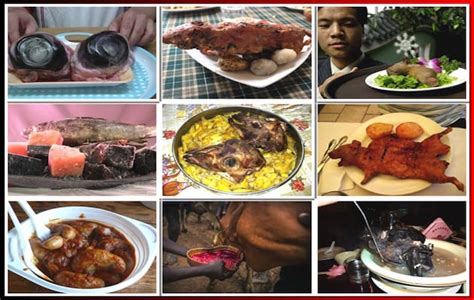 Gustami, la tradizione palermitana tutta in un unico punto. I 10 cibi più disgustosi del mondo: Buon appetito!