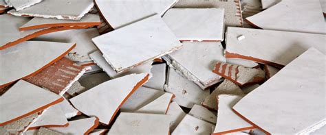 Bewährt haben sich das abreiben mit dem inneren einer orangenschale. Schimmel, Kalk & kaputte Fliesen: Erste Hilfe im Bad ...