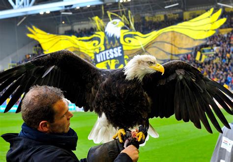 Vitesse ziet af van bekerevenement in gelredome. Vitesse - Hertog