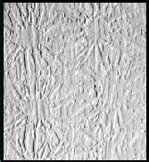 Ceiling ideas → how to stipple a ceiling images. TexMaster Tools - Specialty Tools - MagicTrowel