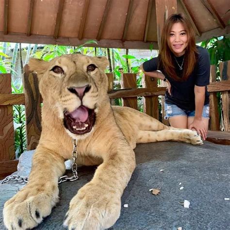 Kantong akan dimanjakan dengan destinasi murah meriah, karena untuk harga tiket masuk taman wisata sariyo bisa anda lihat dibawah ini: Harga Tiket Masuk Wisata Taman Safari Prigen Mei 2021 ...