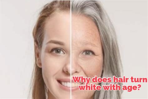 One of the biggest confusing things for me was when i found my first white hair. Why does hair turn white with age? ~ buzz health 59