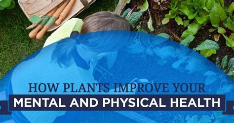 If you have access to your historical sales data, you can make confident. Psychological Benefits of Plants & Horticulture Therapy# ...