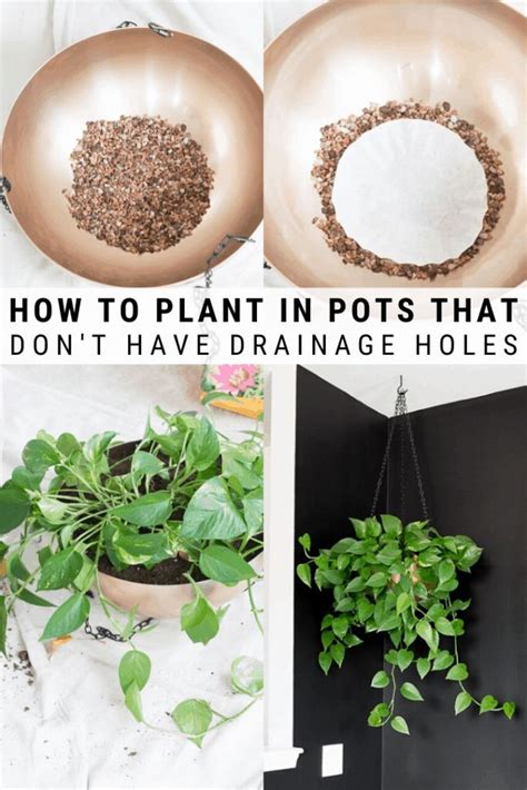 Check spelling or type a new query. How to Plant in Pots Without Drainage Holes And Create ...