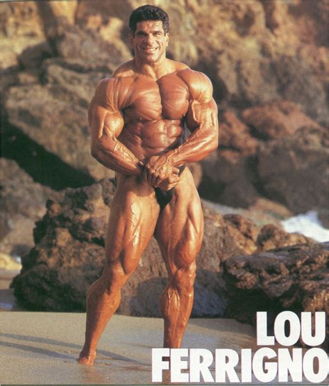 As a bodybuilder, ferrigno won an ifbb mr. Muscle Lover: Lou Ferrigno "The Incredible Hulk"