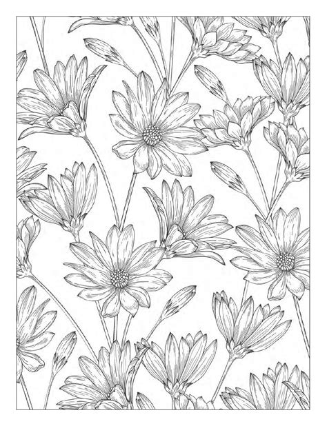 You'll find a huge range of pretty flower designs on this page, from simple outlines to more detailed and intricate drawings, plus beautiful flower letter and number coloring pages too! Beautiful Flowers Detailed Floral Designs Coloring Book ...
