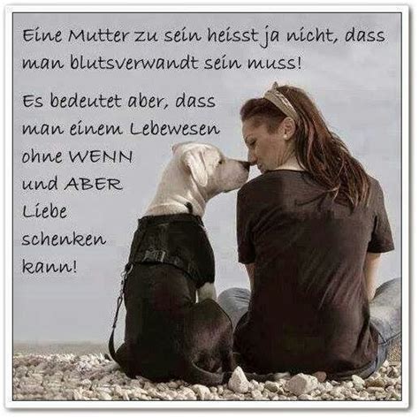 Spruch hund mensch beziehung sprüche hund mensch beziehung wörter mit rund am ende mehrzahl von fund. 935 besten Hundesprüche Bilder auf Pinterest | Manche ...