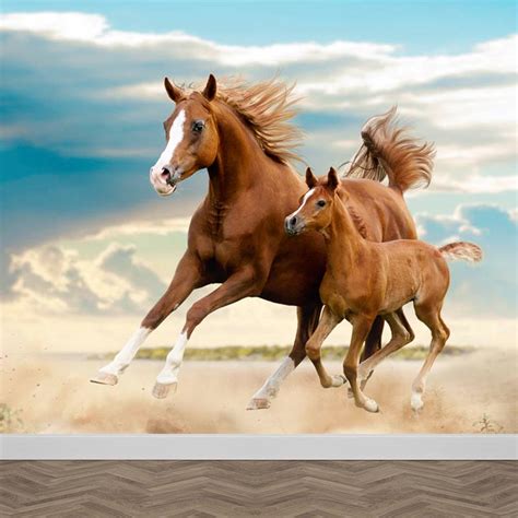 Paard met veulen kleurplaat van een paard met haar veulen. Fotobehang Merrie met veulen. Op maat gemaakt. YouPri.nl
