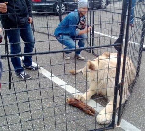 Hála istennek egészséges a kis kukac és édes mint az apja ?? Istenes Bence ennyire még sosem félt | 24.hu