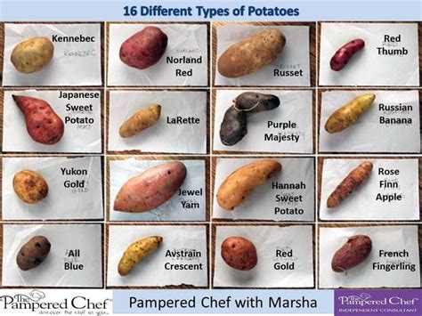 Take a look at the different types of bouquets and flower arrangements that come in many forms and varieties and maybe even try your hand in arranging the flowers yourself. 16 Different types of potatoes | Vegetable Chart ...