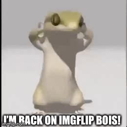 Check spelling or type a new query. GUESS WHOS BACK... - Imgflip