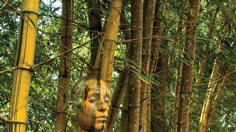 Raden fatah pagar dewa bengkulu Editor Says: Pelajaran Hidup dari Pohon Bambu ...