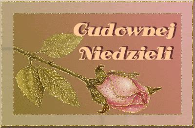 Brokatowa róża cudownej niedzieli - Gify i obrazki na GifyAgusi.pl