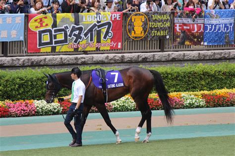 「働きたくない」 異世界召喚される中、神様が一つだけ条件を聞いてくれるということで、増田桂馬はそう答えた。 …… だが、さすがにそううまい話はないらしい。 呆れ//. 第66回安田記念写真集 | 競馬つらつら