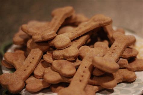 Check out our peanut butter cat selection for the very best in unique or custom, handmade pieces from our shops. Homemade Butternut Squash & Peanut Butter Dog Treats | Dog ...