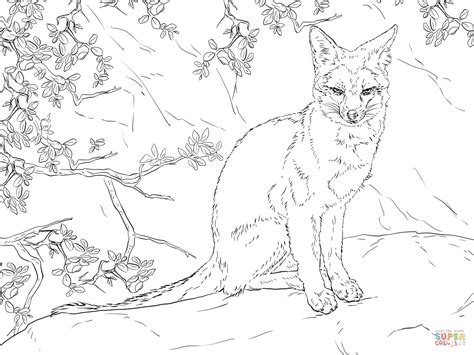 You can use this tutorial for many kinds of ears, not just fox ears. Sitting Gray Fox coloring page | Free Printable Coloring Pages