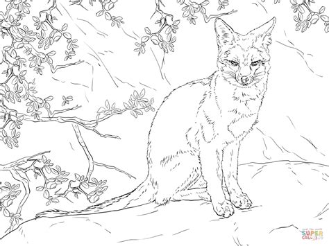 The fox is an intelligent, curious animal with brilliant hunting skills and a beautiful coat. Sitting Gray Fox coloring page | Free Printable Coloring Pages