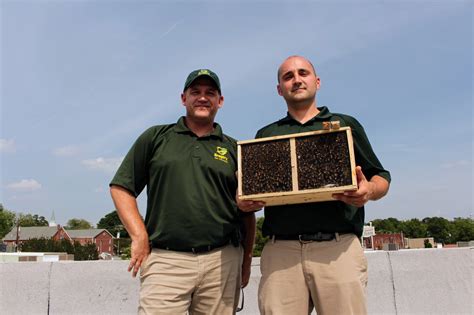 We provide top quality pest management services for residential and commercial properties. What's the Buzz in Greenville South Carolina? - Gregory ...