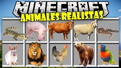 Suscribete es gratis abajo el link para que puedas descargar el mod » mi segundo canal MINECRAFT MODS - ANIMALES REALISTAS EN MINECRAFT - MODS DE ...