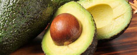 Come cucinare la cicoria per creare ricette gustose? Come si mangia l'avocado: guida e 10 ricette | Agrodolce