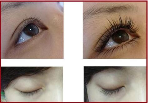 Try our dedicated shopping experience. Award Winning Eyelash Enhancer in 2021 | Eyelash enhancer ...