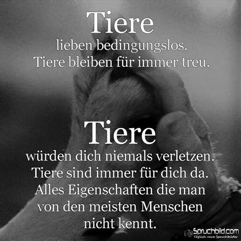 Der weg zu meinem herzen ist gepflastert mit pfotenabdrücke hier ein toller hunde spruch um den sonntag richtig zu starten :) … #hundesprüche #hunde #hund #spruch #hundezitate #zitat. Hundeschule Whispers with Dogs in Stuttgart Süd | Trainer ...