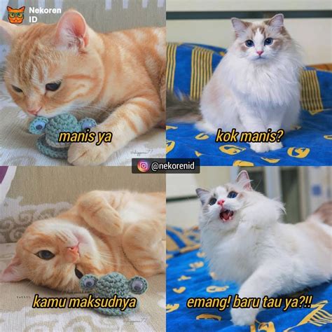 Maybe you would like to learn more about one of these? 10 Meme Obrolan Kucing Gombal Ini Endingnya Gagal Romantis