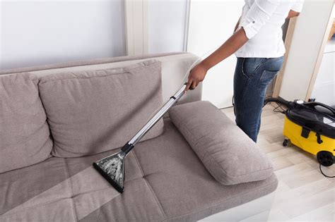 Maybe you would like to learn more about one of these? Carpet Cleaning Company In Springfield | Shiny Carpet ...