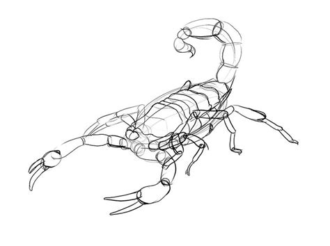 We did not find results for: Lesson 4: Drawing Insects and Arachnids | Animal sketches, Drawings, Construction drawings