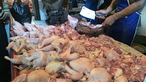 Ayam organik boleh didapati di semua kedai azzainmart. Akan Masuk ke Indonesia, Berapa Harga Ayam Impor Brasil ...