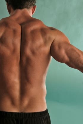 The superficial back muscles are the muscles found just under the skin. Les 5 muscles que l'on oublie souvent - Fit for Life