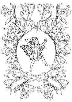 Each flower fairy lives and sleeps in their chosen flower, plant or tree, and as this grows the fairy grows too. Cicely Mary Barker's Flower Fairies coloring sheets ...