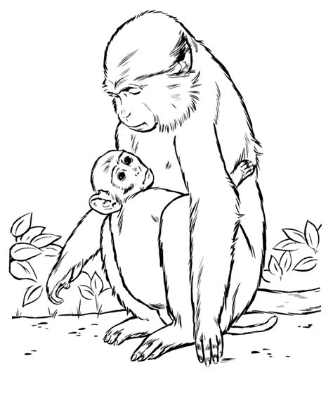 Get your crayons out and start coloring! Mother and baby Monkey coloring page | Monkey Coloring page | Malvorlagen | Malvorlagen, Malen ...