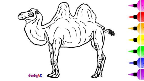 See more ideas about directed drawing, drawing for kids, easy drawings. Camel Drawing at GetDrawings | Free download