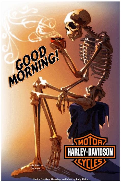 In my spare time i like building websites and love anything to do with the internet. 186 best Harley Goodmorning images on Pinterest | Good ...