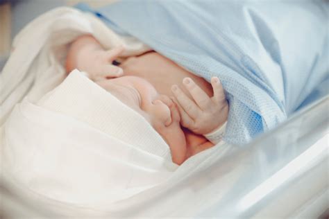 Batuk adalah sebuah reaksi tubuh terhadap gangguan saluran pernafasan. Tips Petua Cara Merawat Menghilangkan Bayi Batuk - SimpliRub
