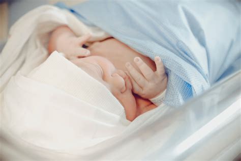 Batuk yang terjadi pada tubuh dapat disebabkan oleh sistem kerja tubuh dalam mengeluarkan benda asing yang masuk ke dalam saluran pernafasan. Tips Petua Cara Merawat Menghilangkan Bayi Batuk - SimpliRub