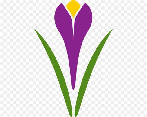 Manfaat bunga saffron untuk kesehatan. Paling Populer 16+ Bunga Saffron Vector - Gambar Bunga HD