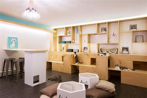 The light, airy ground floor space is perfect for this. Meow Parlor, NYC's First Permanent Cat Café Opens Monday ...