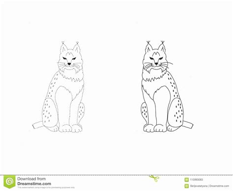 ‎with this brand new app you will meet the tv series protagonists and use colours to customize them all! Cat Coloring Pages Online Lovely Lynx Cat Coloring Pages ...