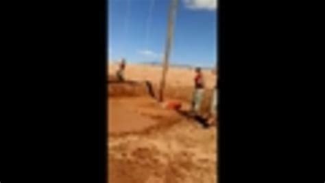 It's a cactus from the genus cylindropuntia or cholla cactus. Kid Faceplants in Deep Mud | Jukin Media Inc